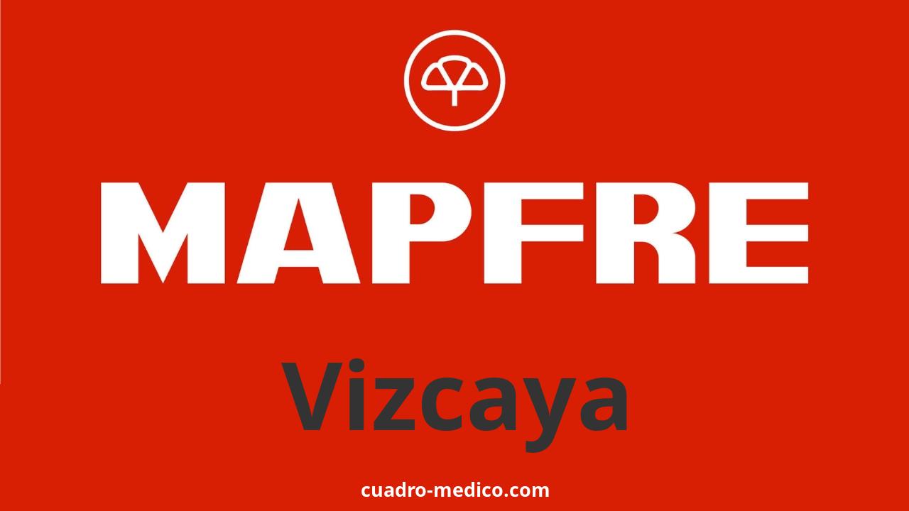 Cuadro Médico Mapfre Vizcaya
